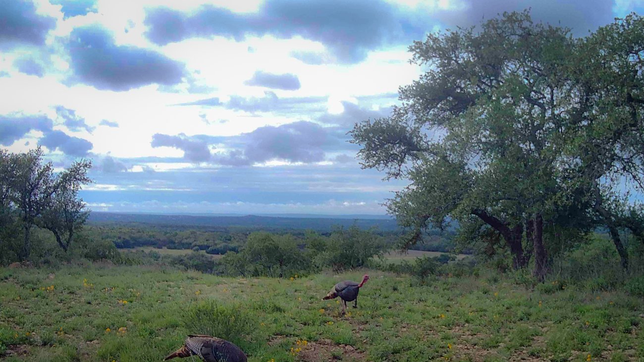 Head Mountain Preserve, Comal County, Texas