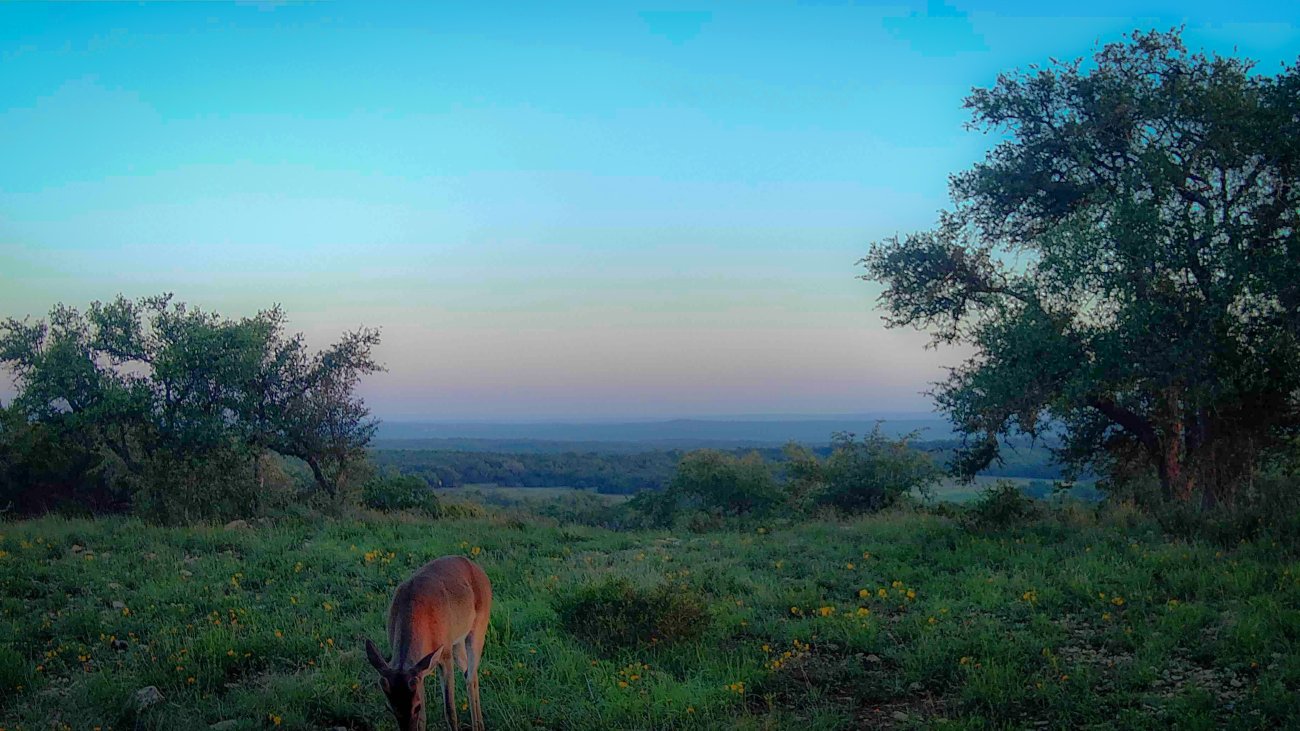 Head Mountain Preserve, Comal County, Texas
