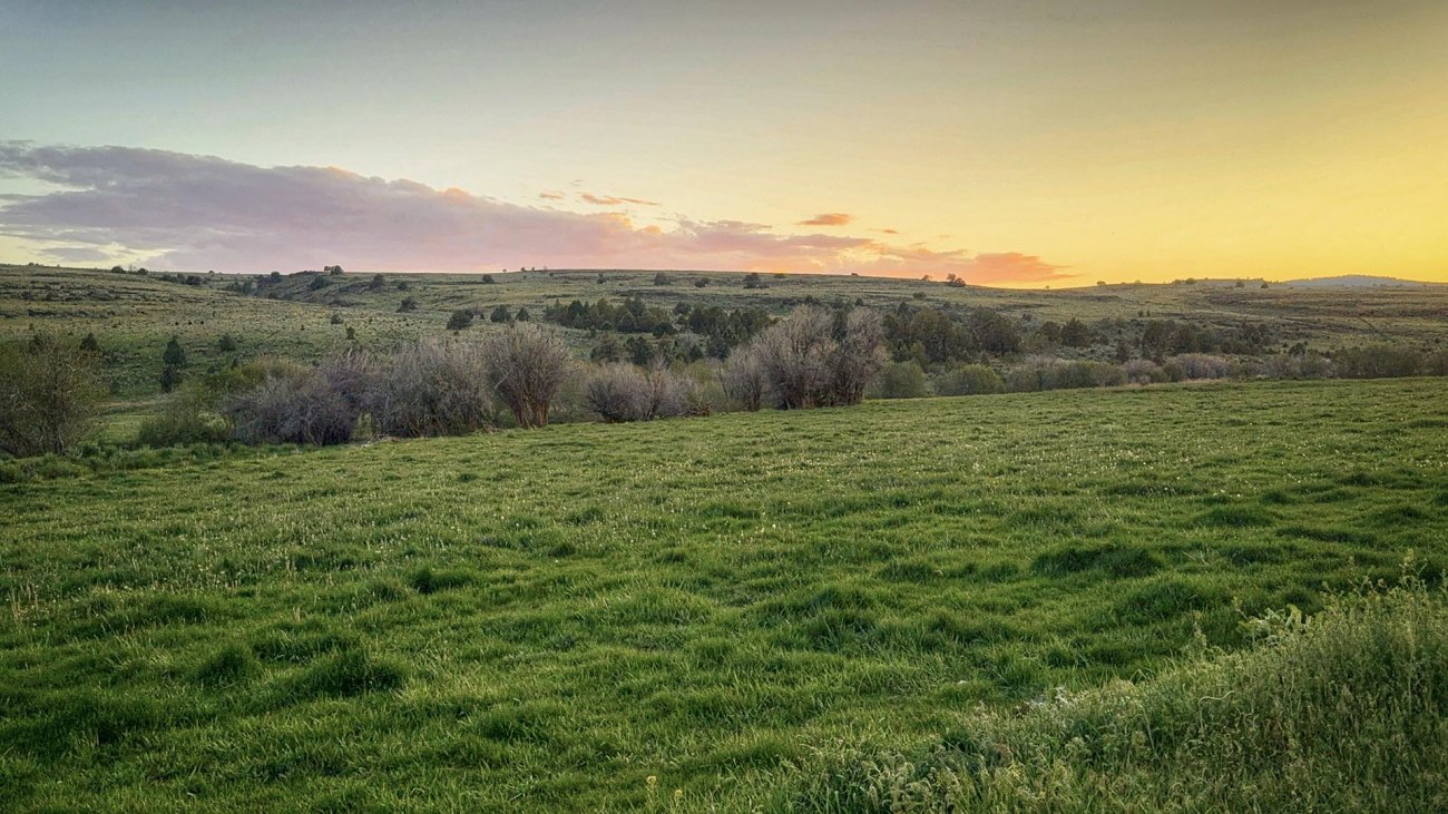 green-pasture-property-for-sale-oregon-ironside-castle-rock-ranch green-pasture-property-for-sale-oregon-ironside-castle-rock-ranch