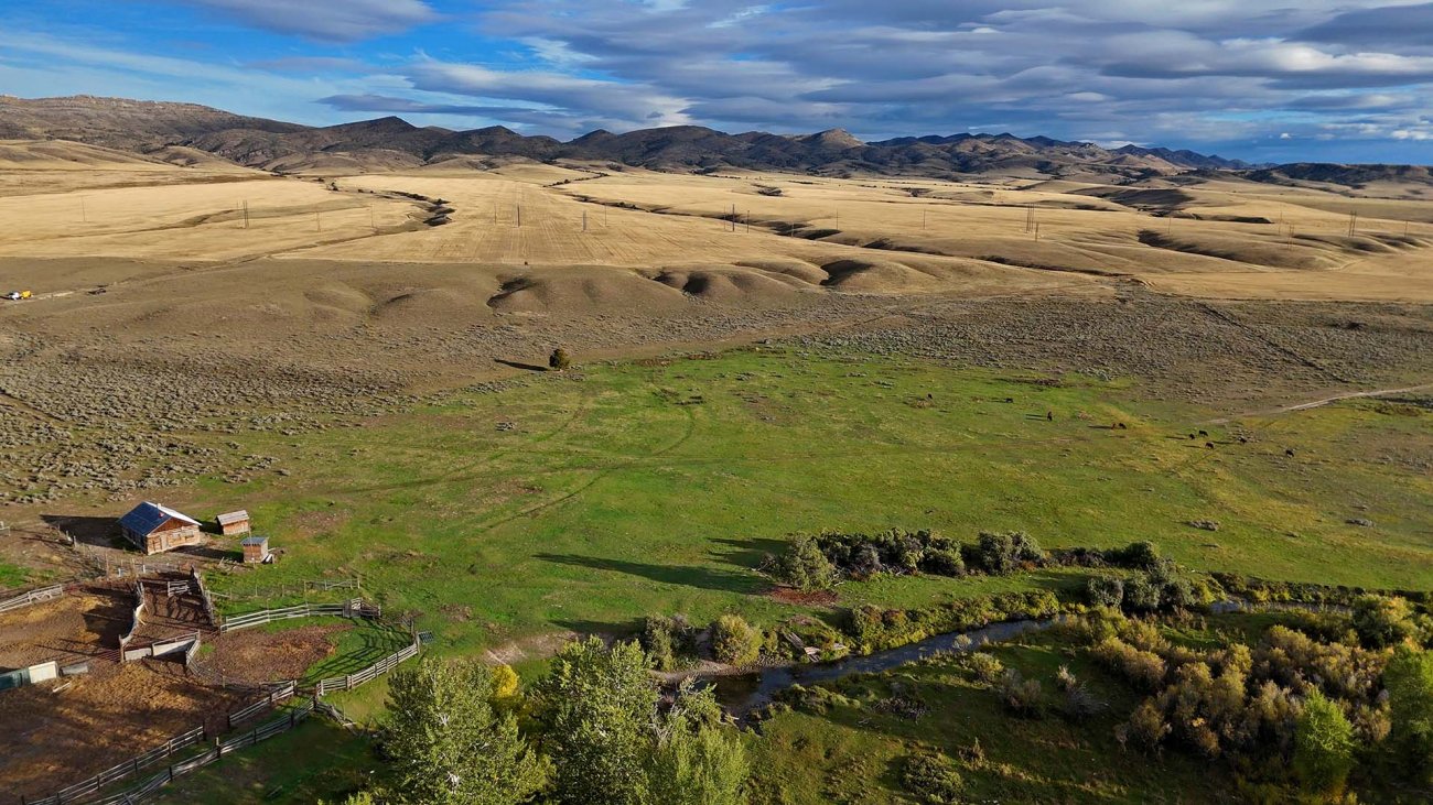 Elk-hunting-Montana-Jefferson-River-Homestead