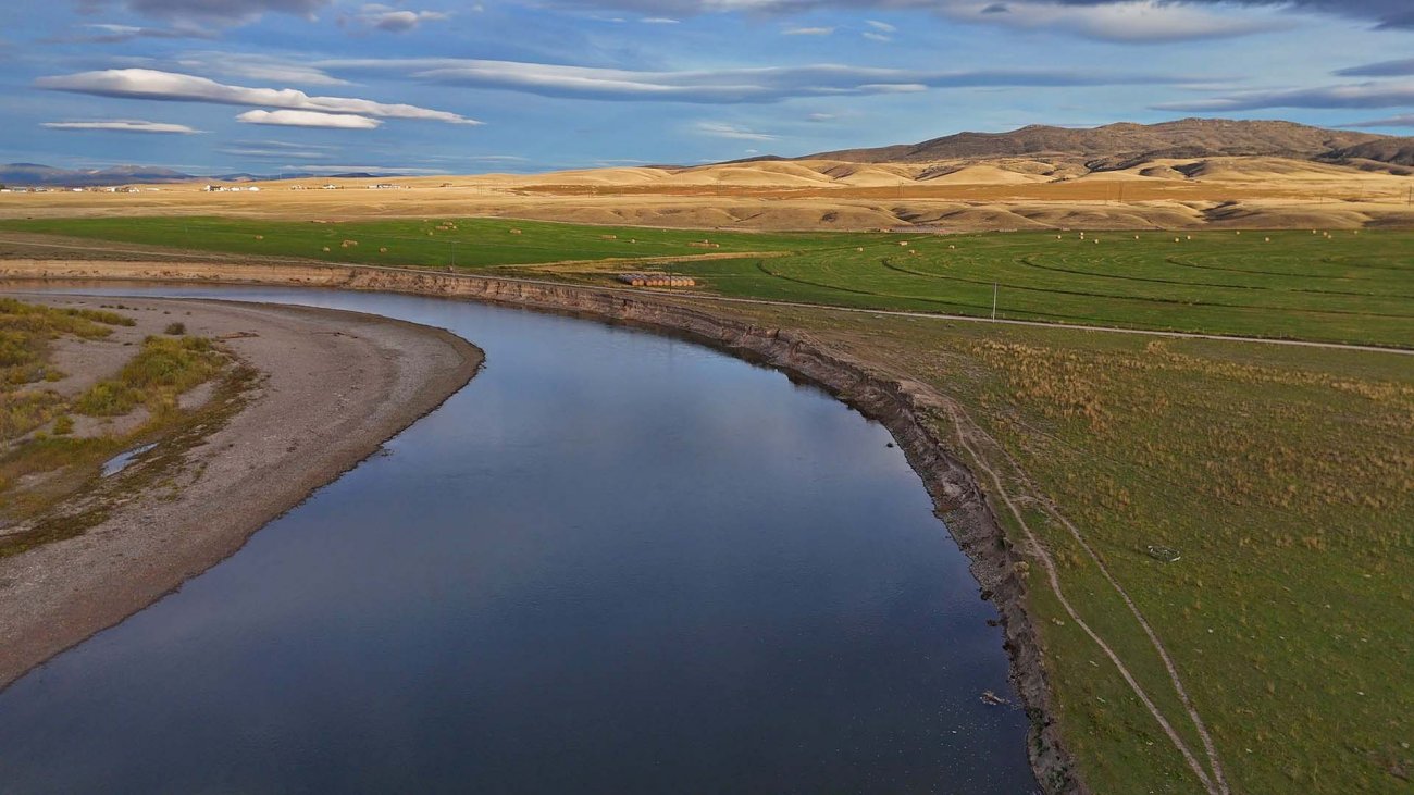 Pheasant-Hunting-Montana-Jefferson-River-Homestead