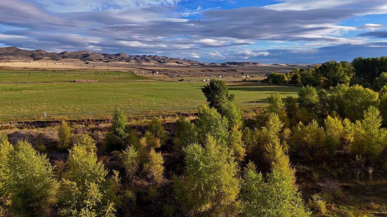 White-Tail-hunting-Montana-Jefferson-River-Homestead