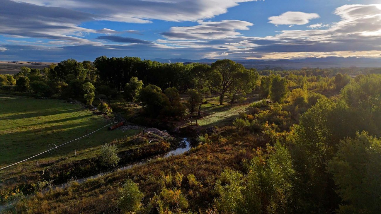 Duck-Hunting-Montana-Jefferson-River-Homestead Duck-Hunting-Montana-Jefferson-River-Homestead