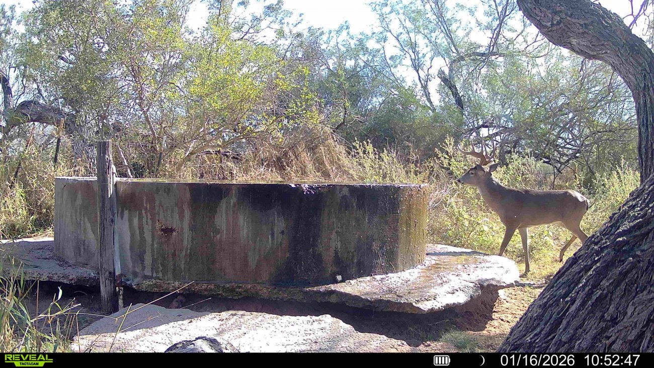 28.5-big-Eight 28.5-big-Eight