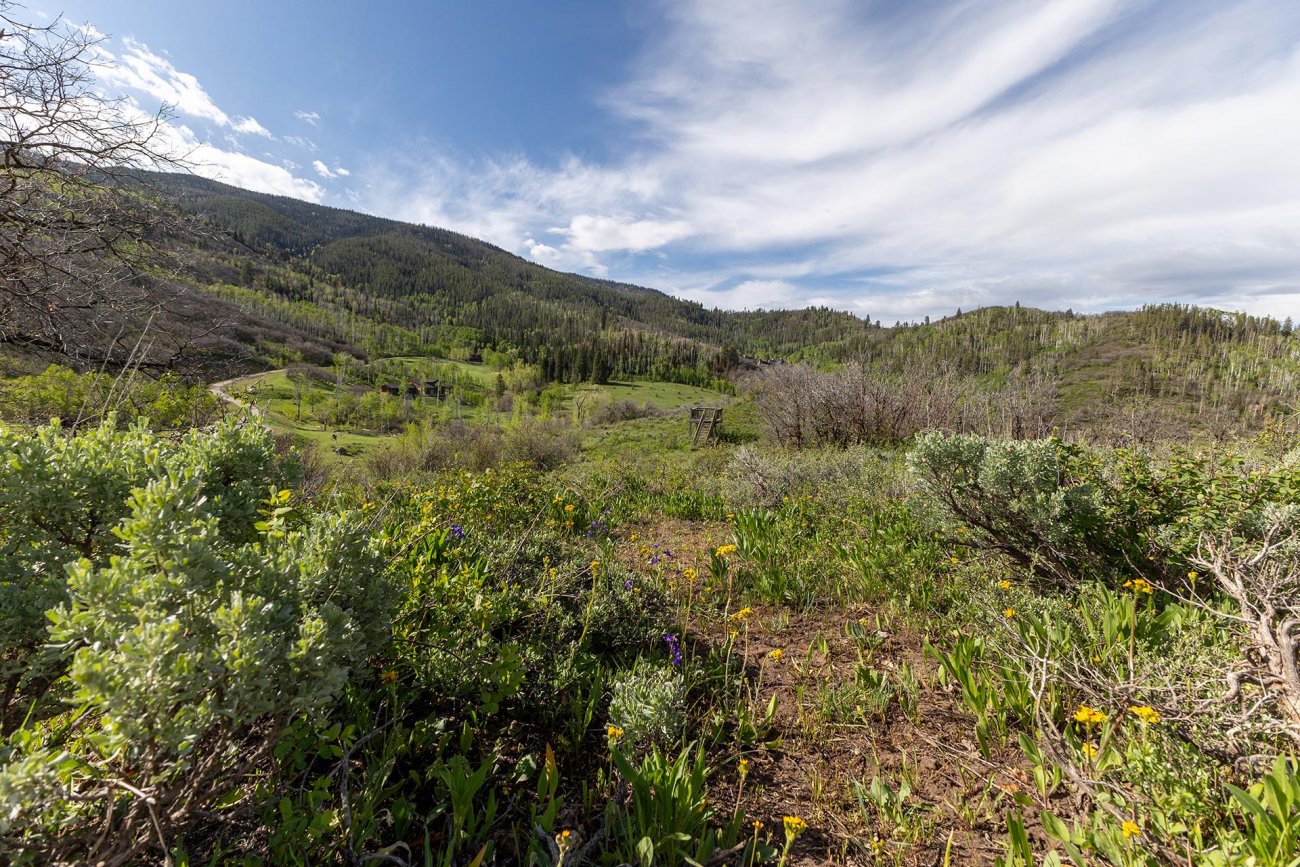 periodic-table-colorado-lake-catamount-homesite