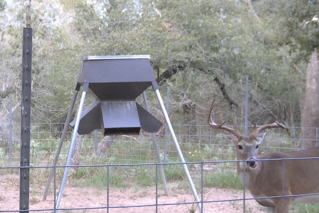 14-wide-deer-b 14-wide-deer-b