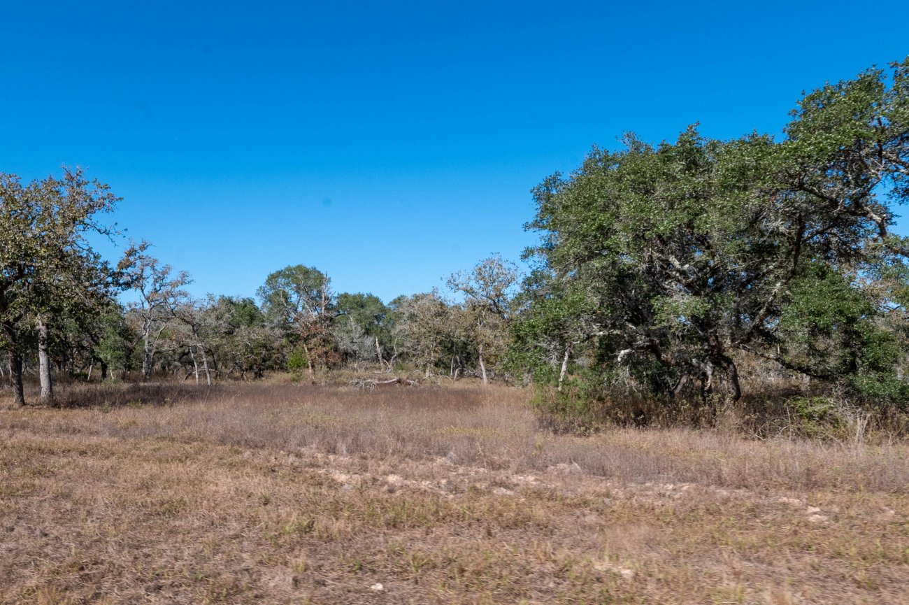 32-Morales-Ranch-91b 32-Morales-Ranch-91b