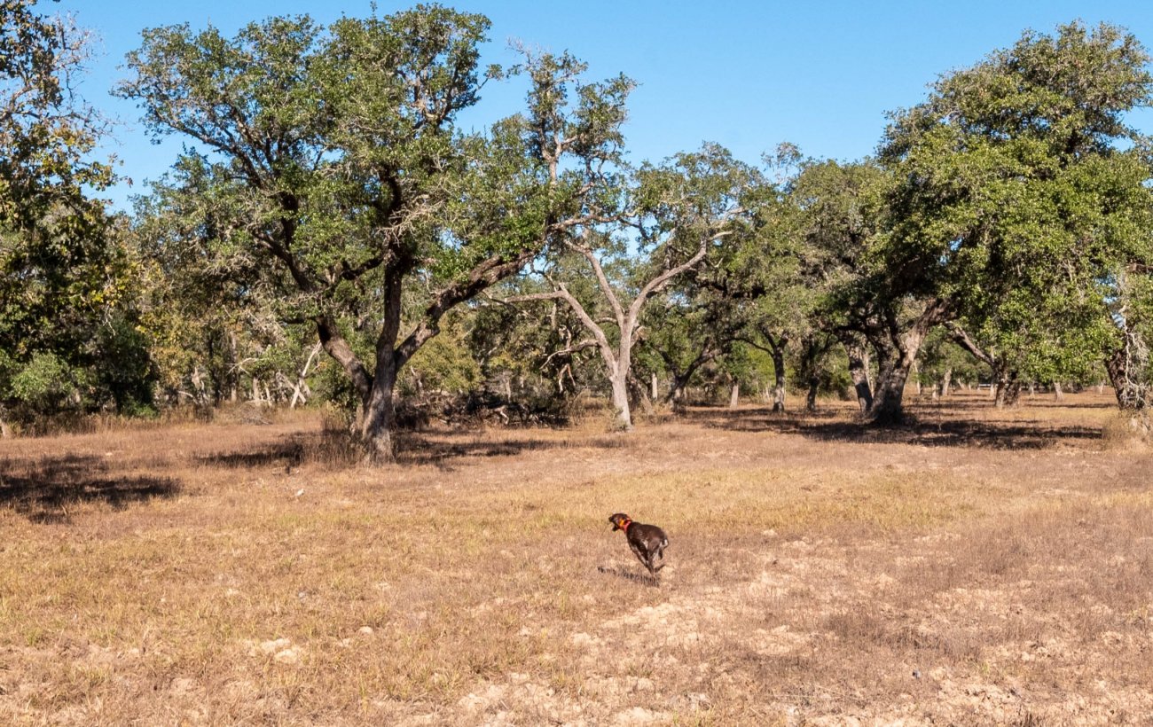 36-Morales-Ranch-46b 36-Morales-Ranch-46b