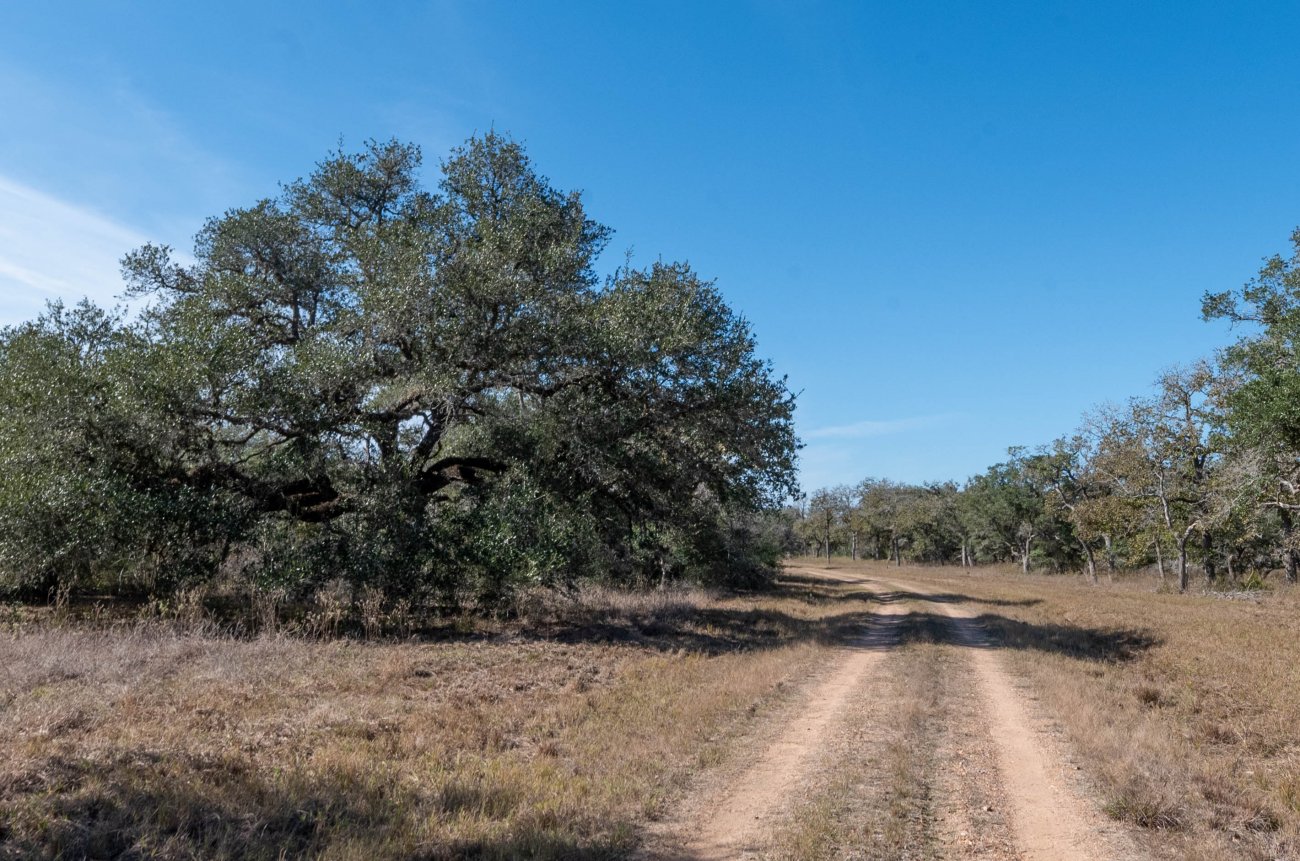 5-Morales-Ranch-89 5-Morales-Ranch-89