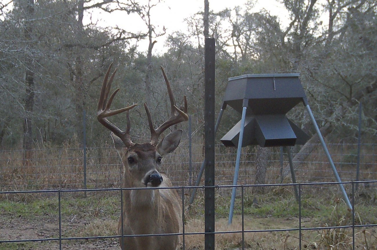 6-9-daytimeb 6-9-daytimeb