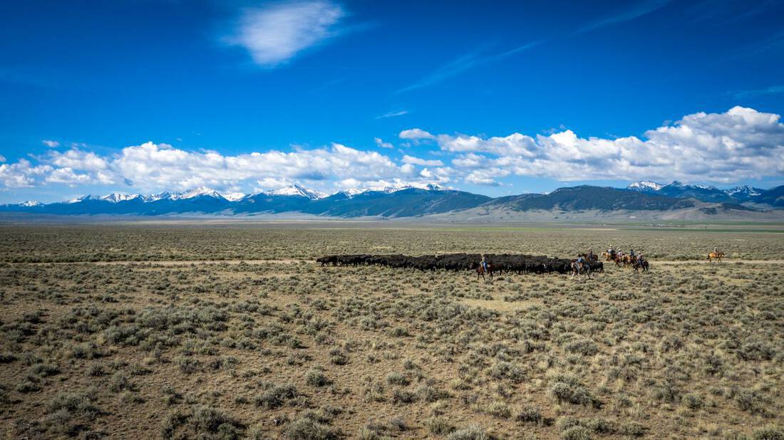 little-eight-mile-creek-ranch-lemhi-river-idaho-ranch-for-sale-agricultural