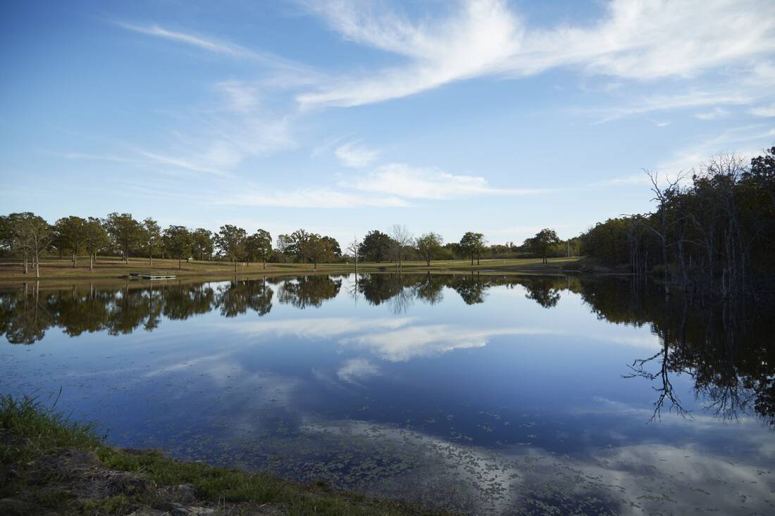 Lone Tree Ranch Republic Ranches