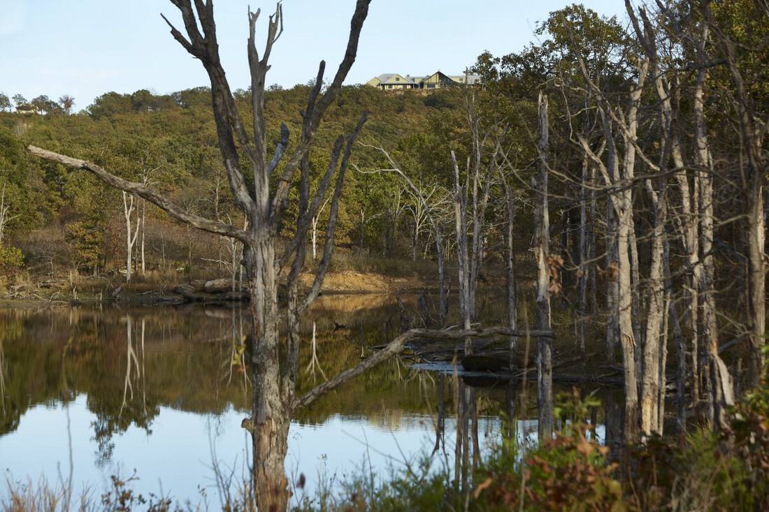 Lone Tree Ranch Republic Ranches