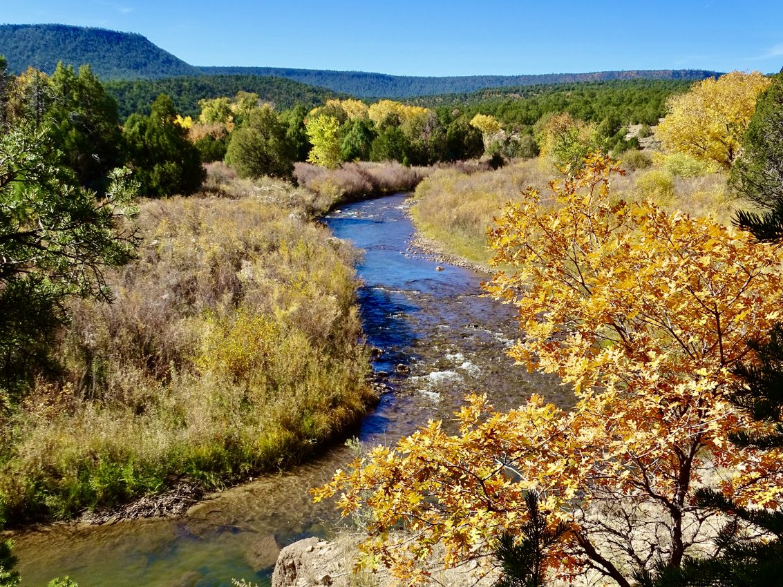 river-view-gold-new-mexico-los-trigos-ranch
