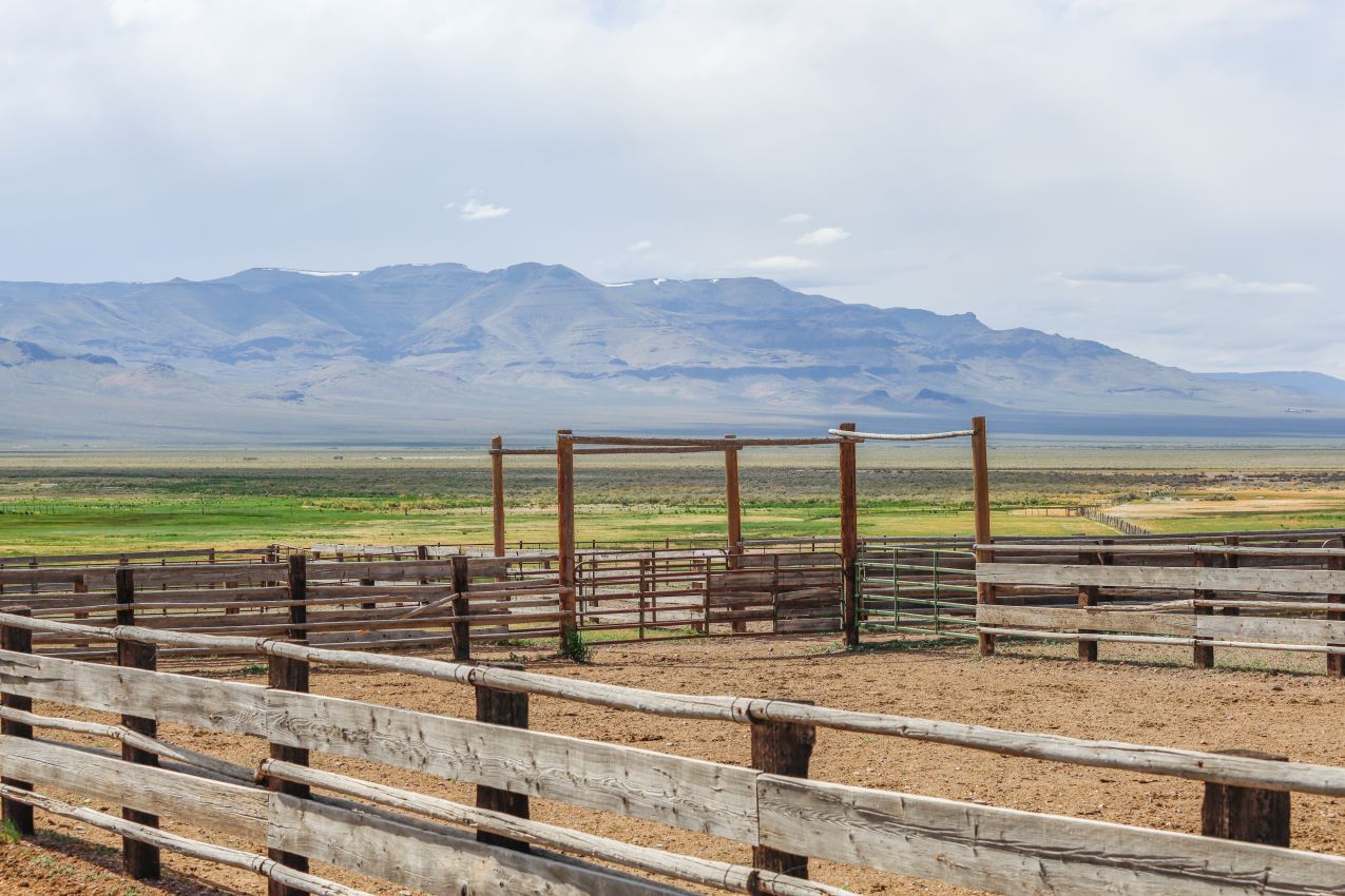 mountain-pasture-oregon-lucky-7-ranch