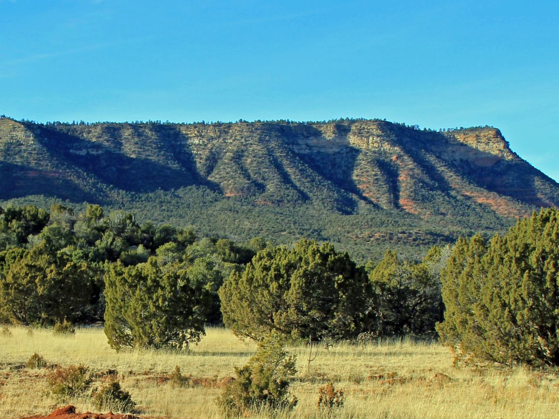 grass-range-to-mesa-edge-new-mexico-mesa-springs-ranch