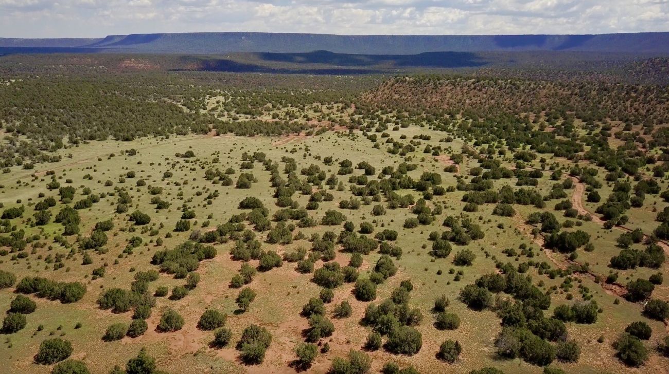green-pasture-drone-new-mexico-mesa-springs-ranch
