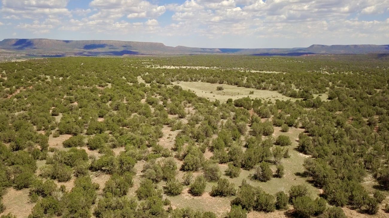 green-patches-new-mexico-mesa-springs-ranch