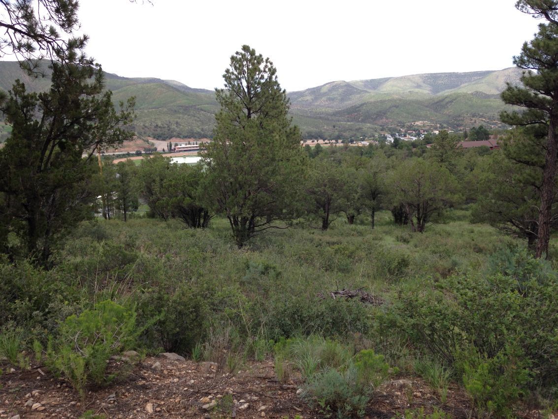Southern-property-line-looking-north-Ruidoso-Downs-Race-track-in-background