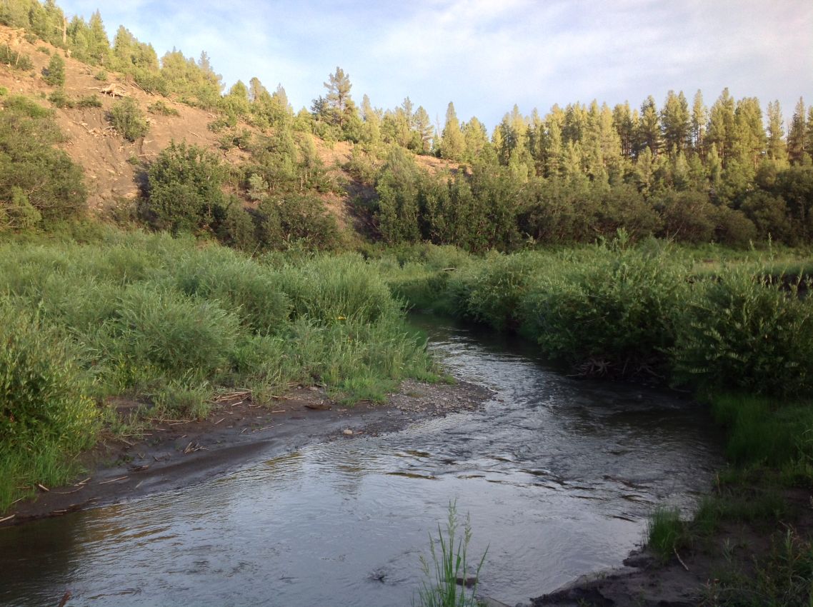 fishing-property-for-sale-new-mexico-mora-river-retreat