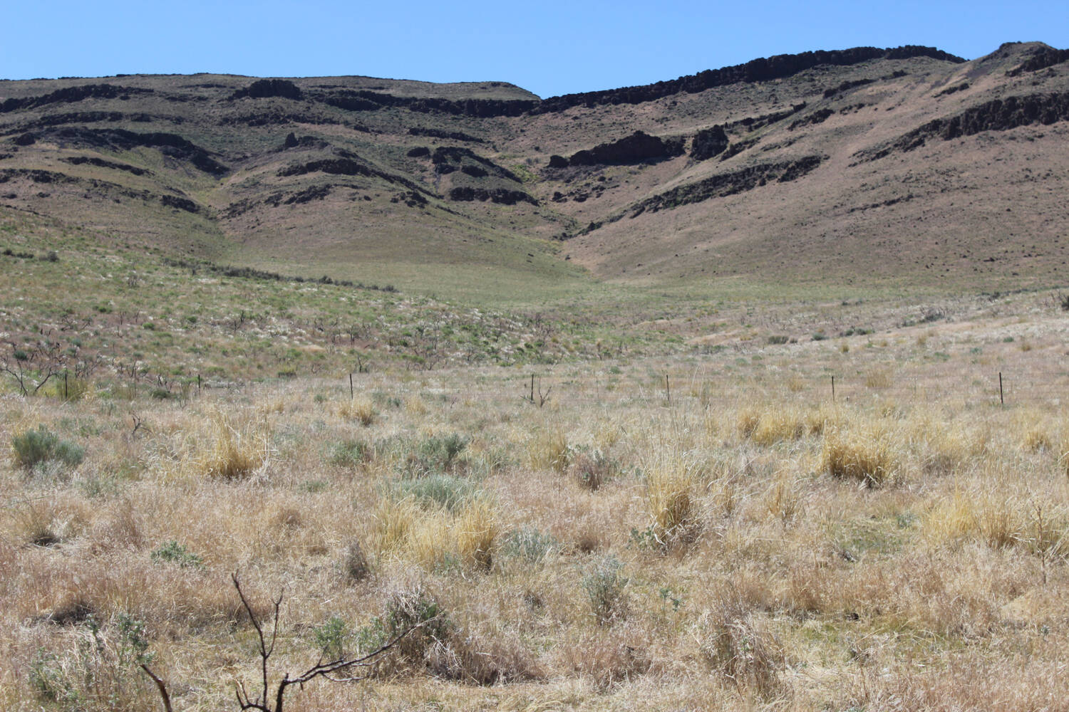 Grazing-Land-Nevada-Oregon-Moser-Ranch