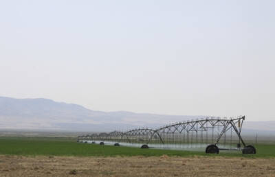 Pivot-Irrigation-Nevada-Oregon-Moser-Ranch
