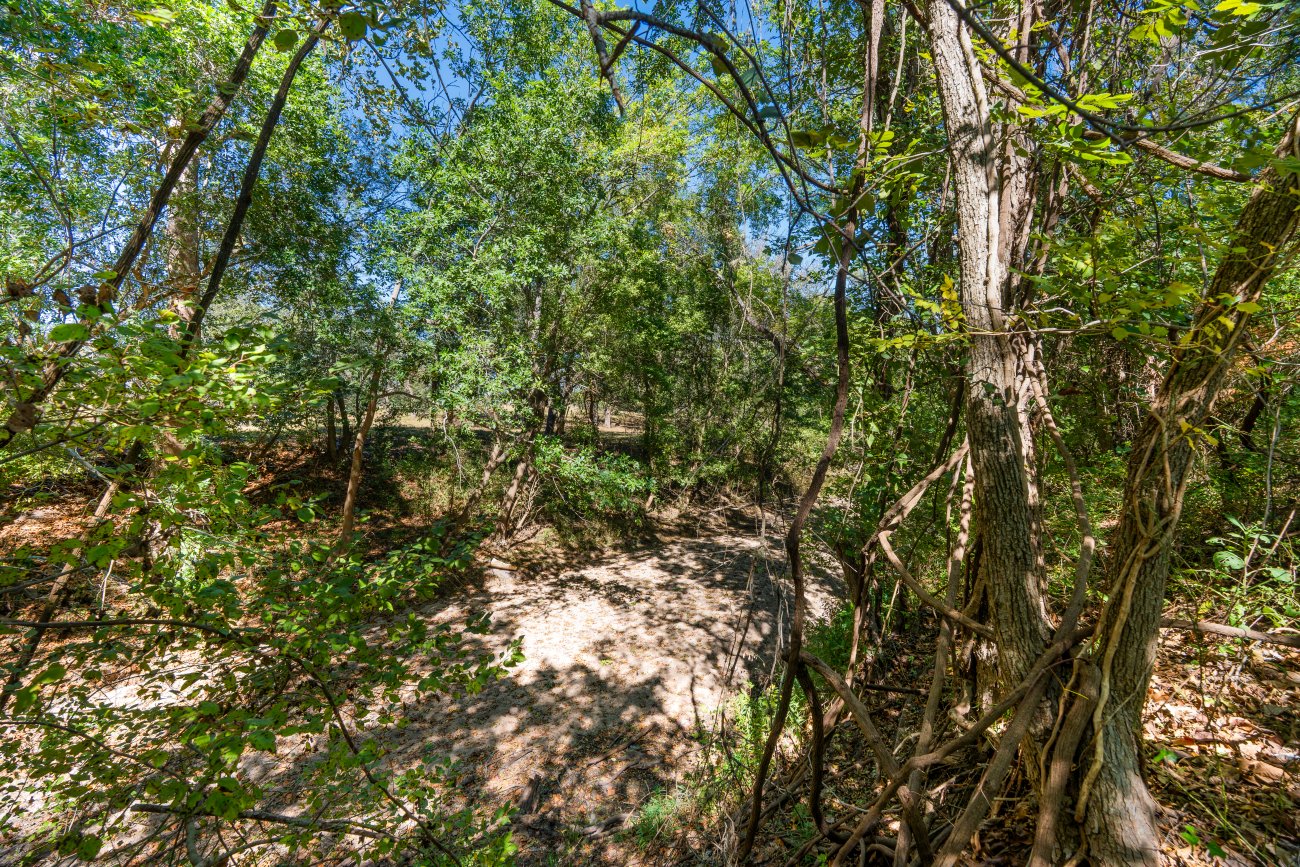 morales40-10 morales40-10