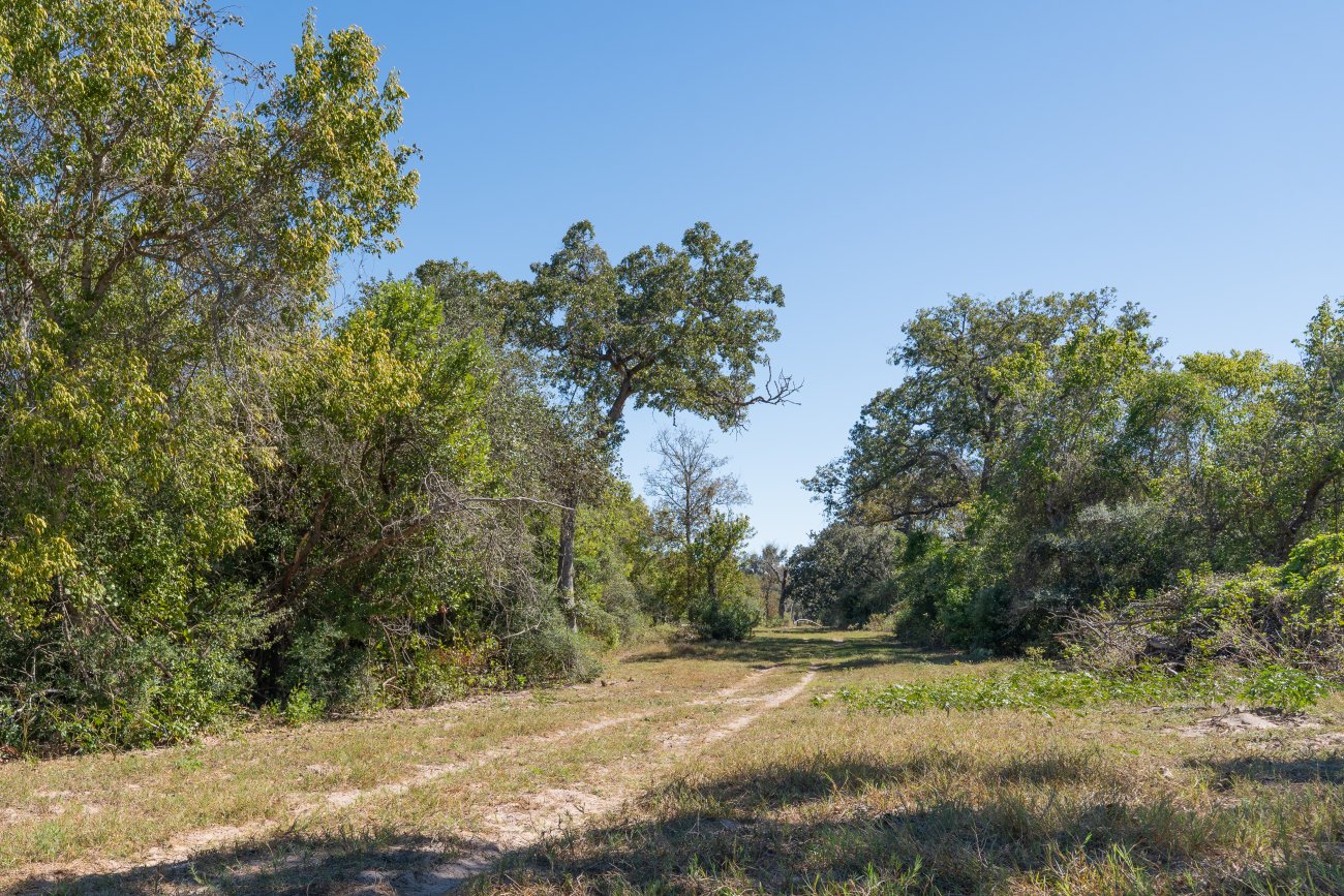 morales40-22 morales40-22