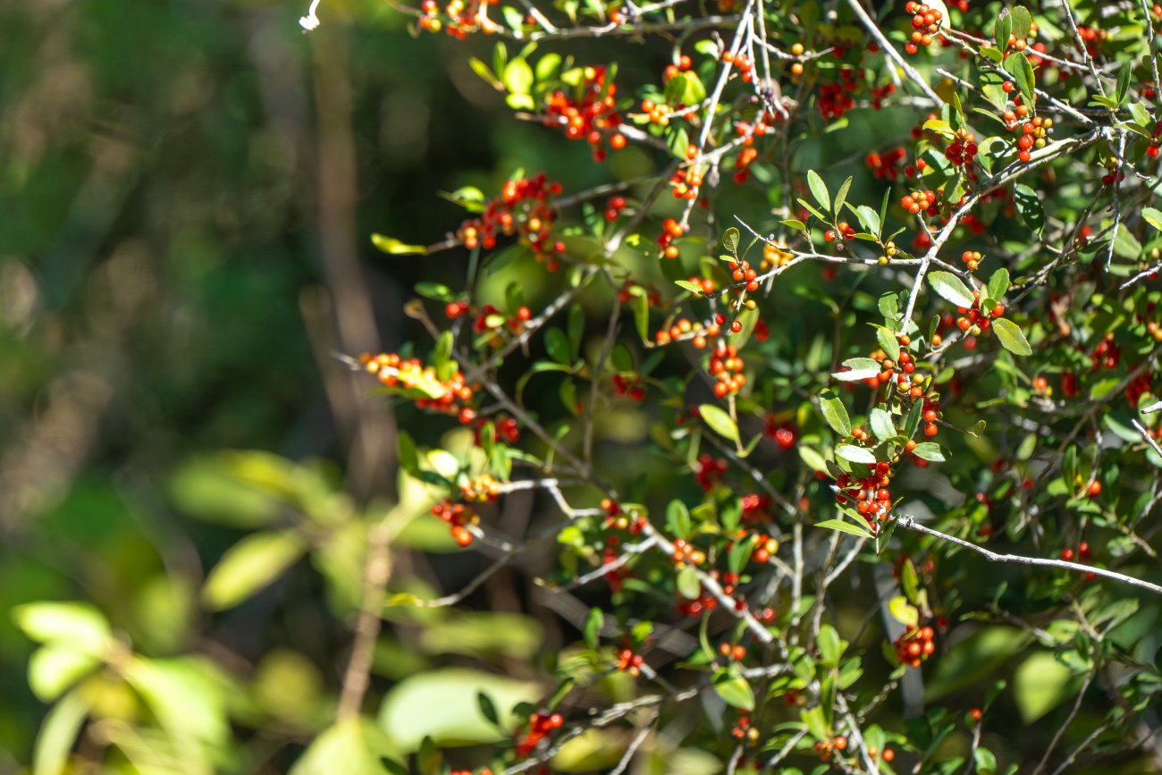 morales40-26 morales40-26