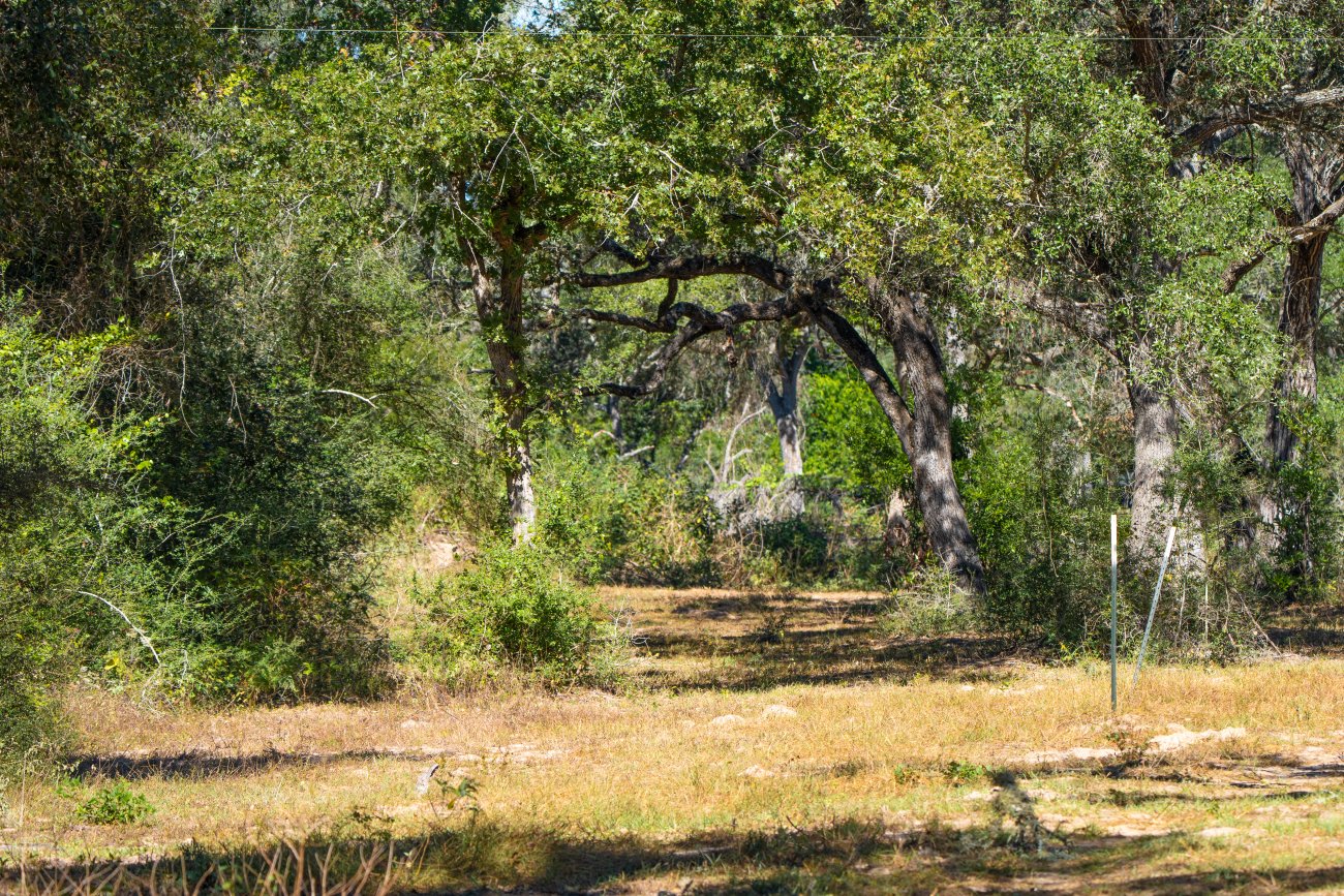 morales40-27 morales40-27