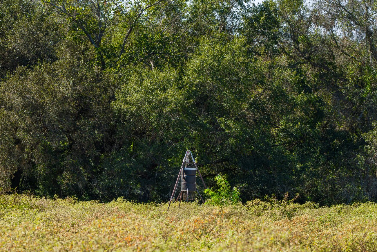 morales40-28 morales40-28