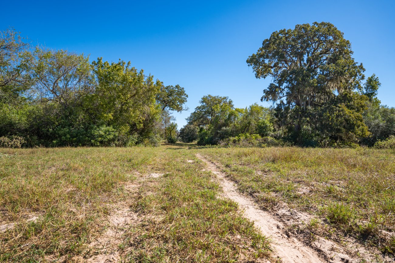 morales40-39 morales40-39