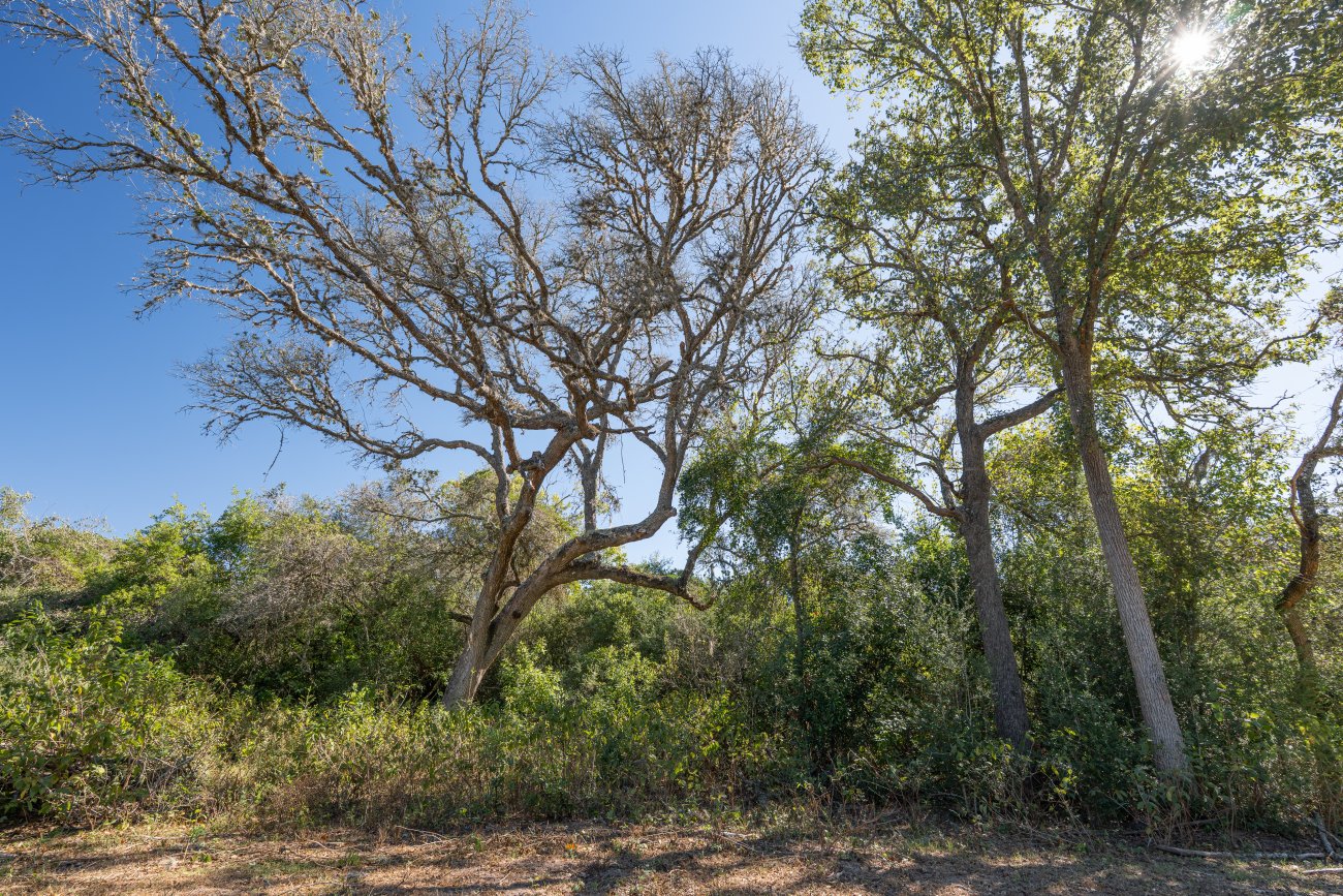 morales40-41-1 morales40-41-1