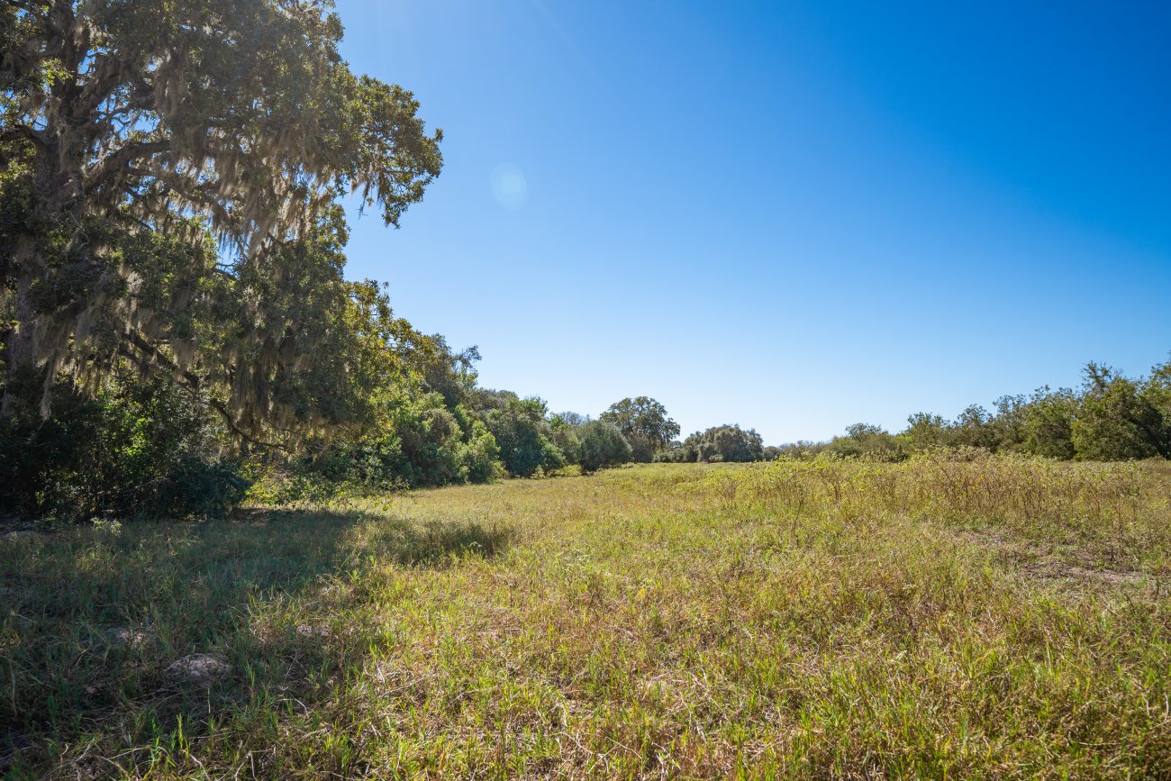 morales40-41 morales40-41