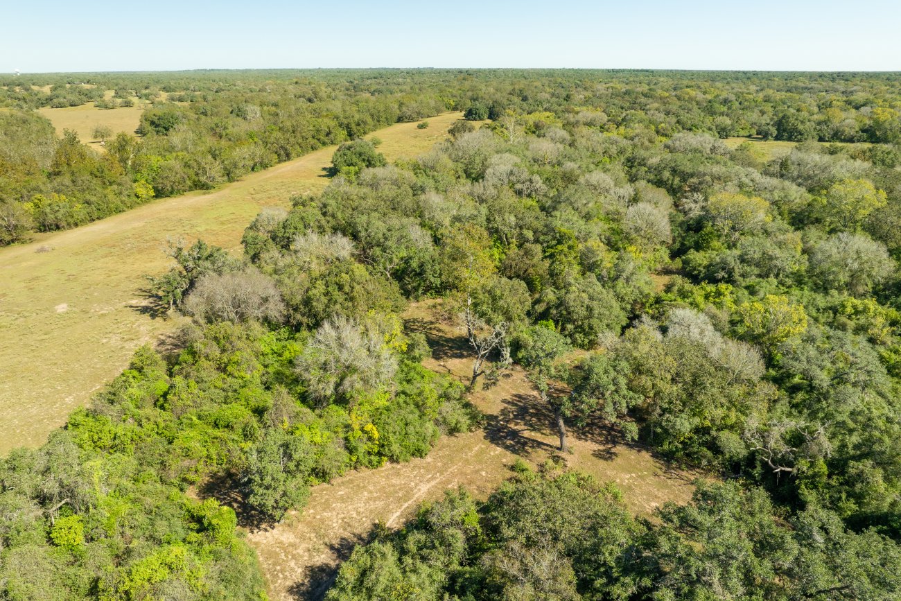 morales40-44 morales40-44