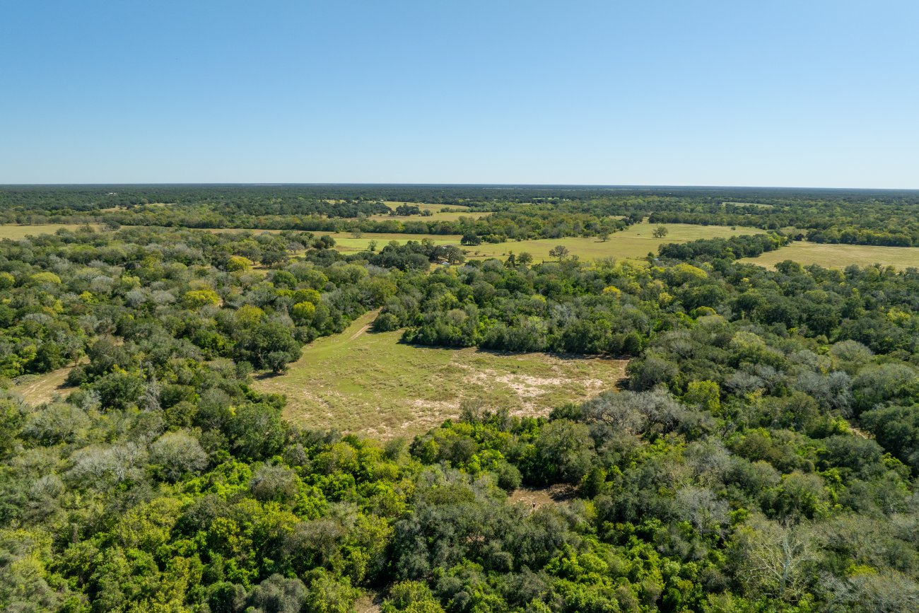 morales40-49 morales40-49