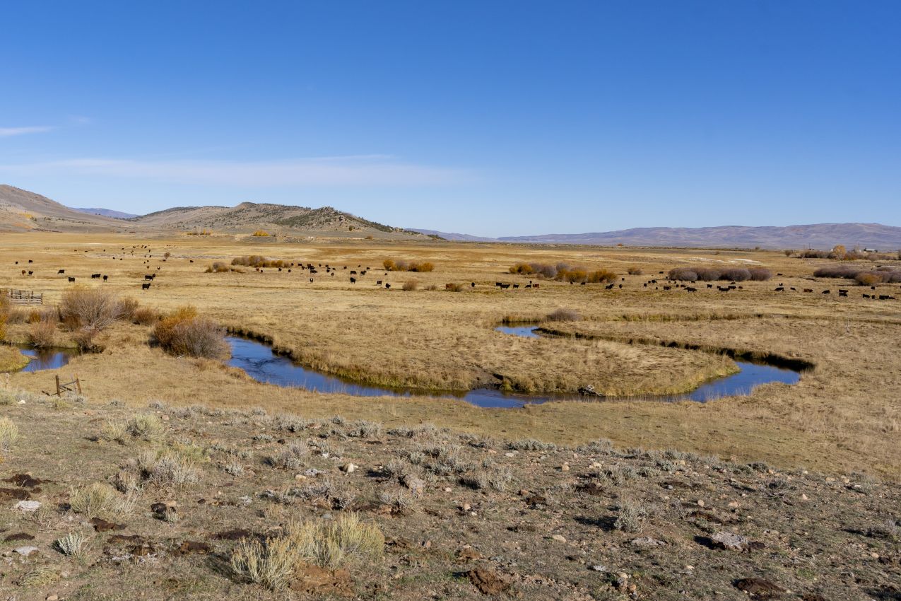 fishing-property-colorado-north-fork-river-ranch