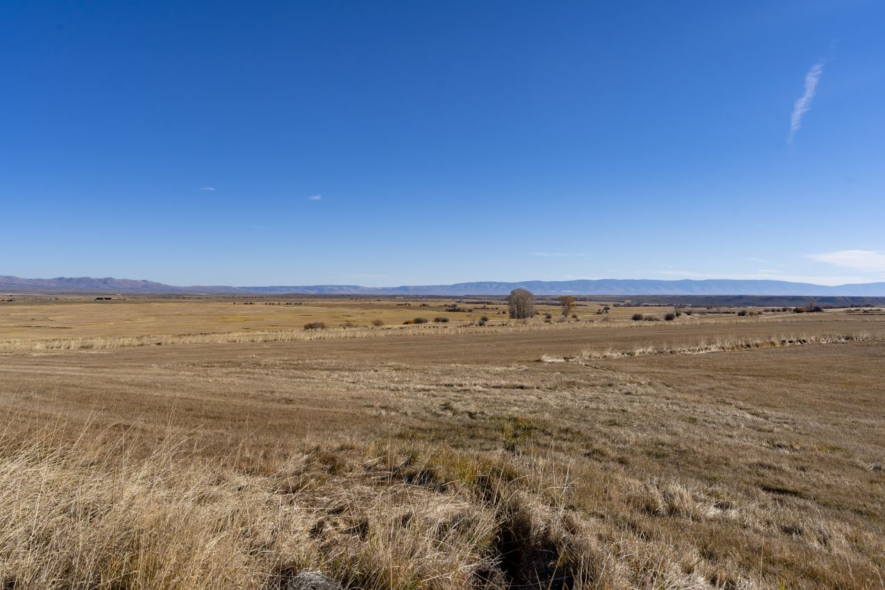 horse-ranch-colorado-north-fork-river-ranch