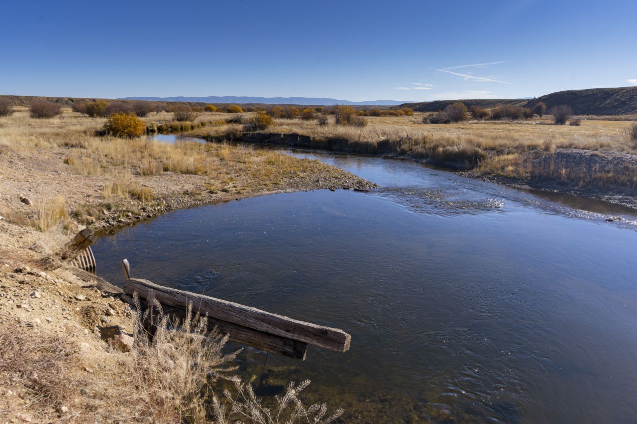 moose-hunt-colorado-north-fork-river-ranch