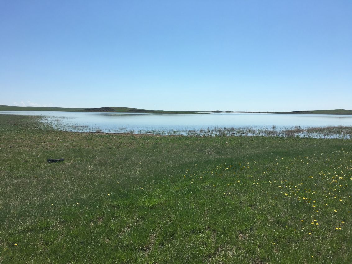 Northern-Plains-Grassland-Cattle-Ranch-South-Dakota-Dams4