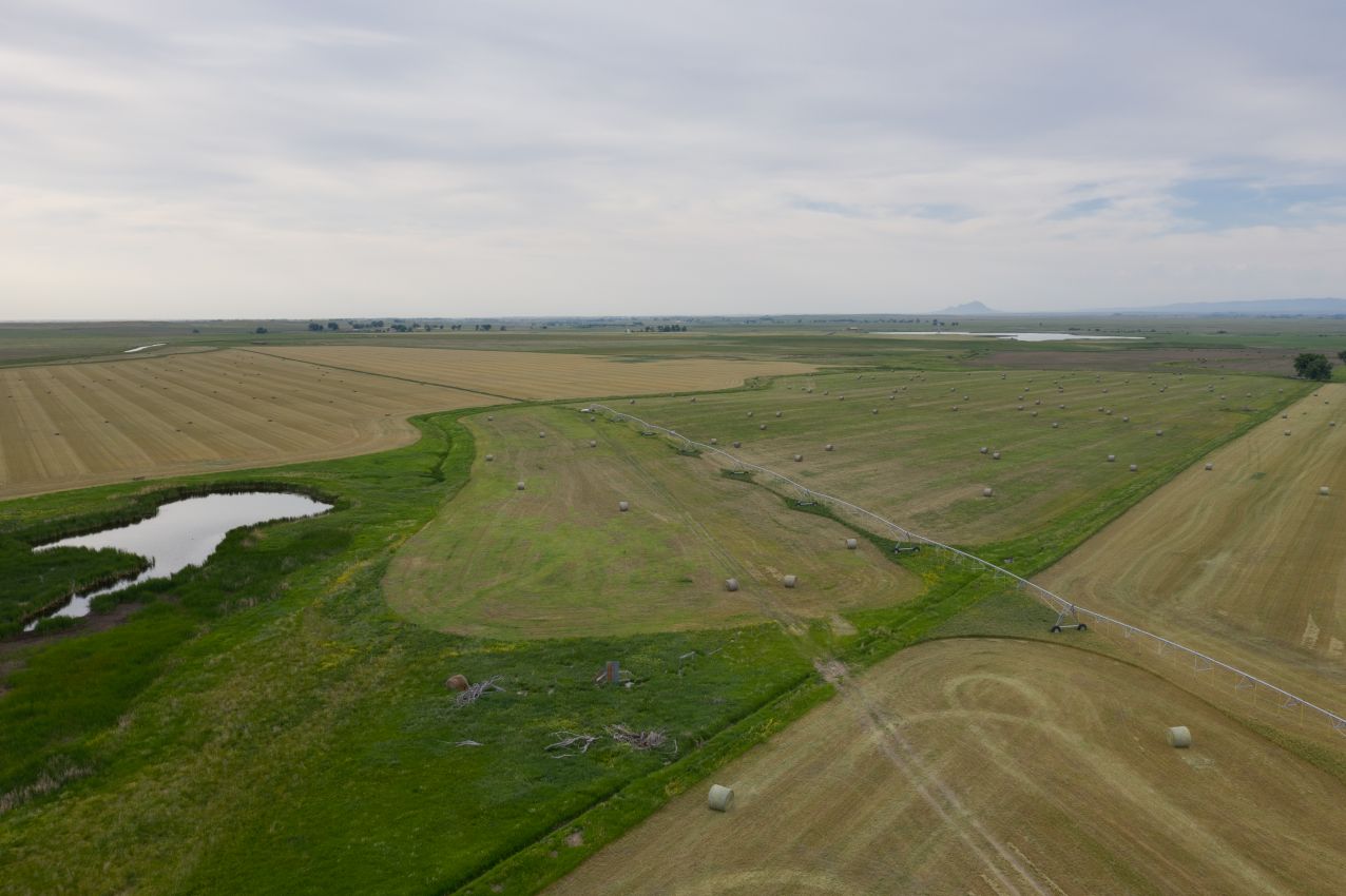 Northern-Plains-Grassland-Cattle-Ranch-South-Dakota-Hayland26