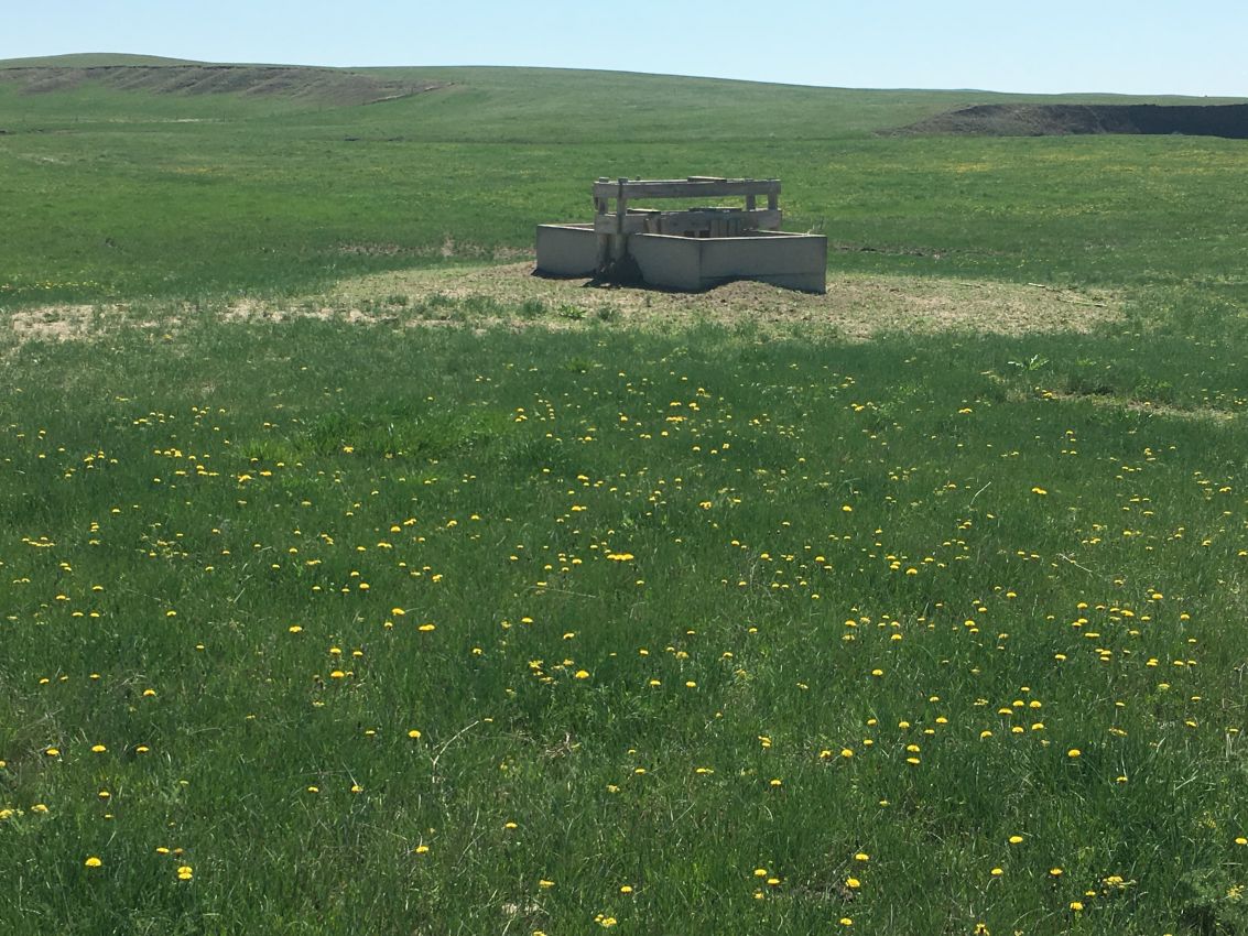 Northern-Plains-Grassland-Cattle-Ranch-South-Dakota-Pasture25