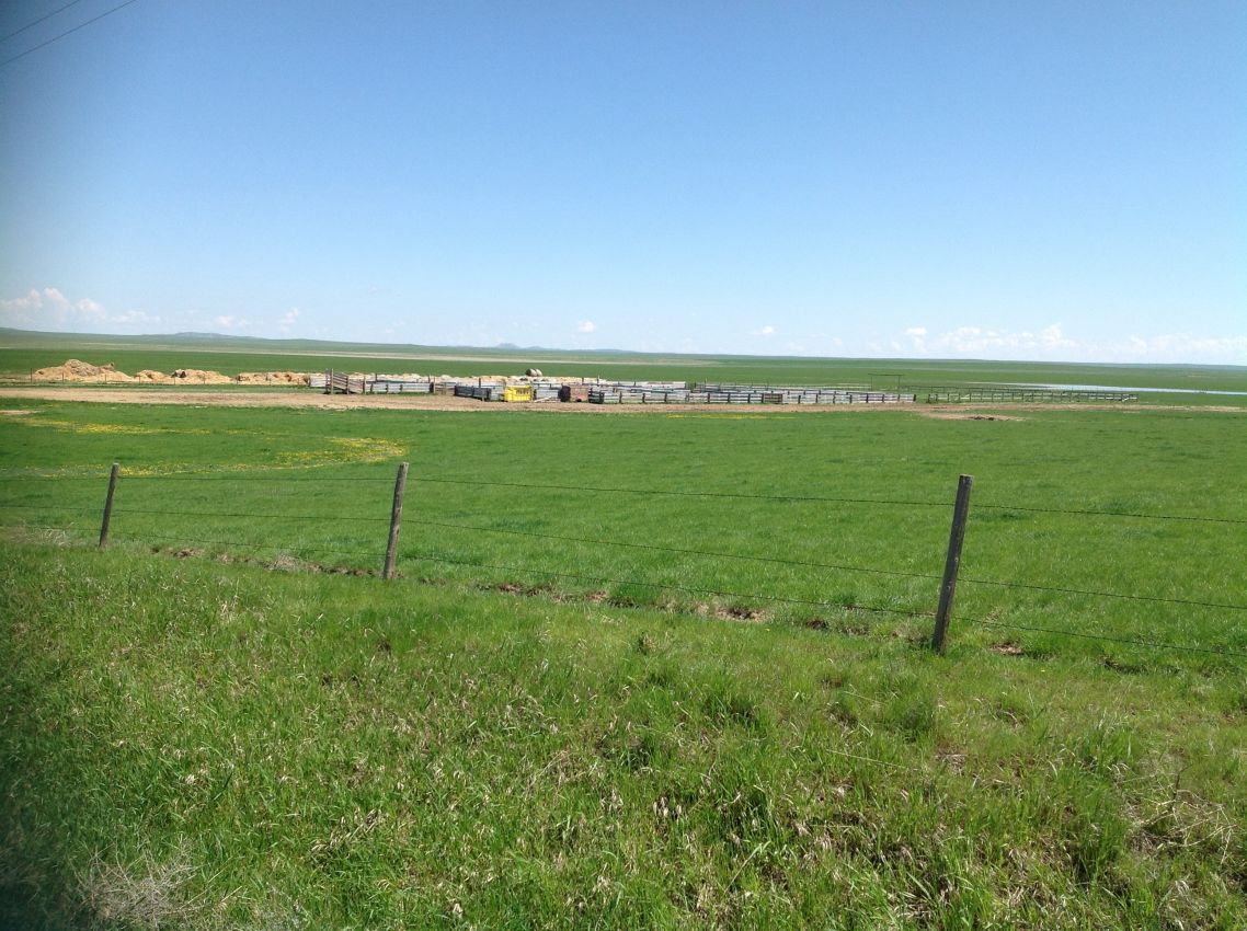 Northern-Plains-Grassland-Cattle-Ranch-South-Dakota-Pasture5