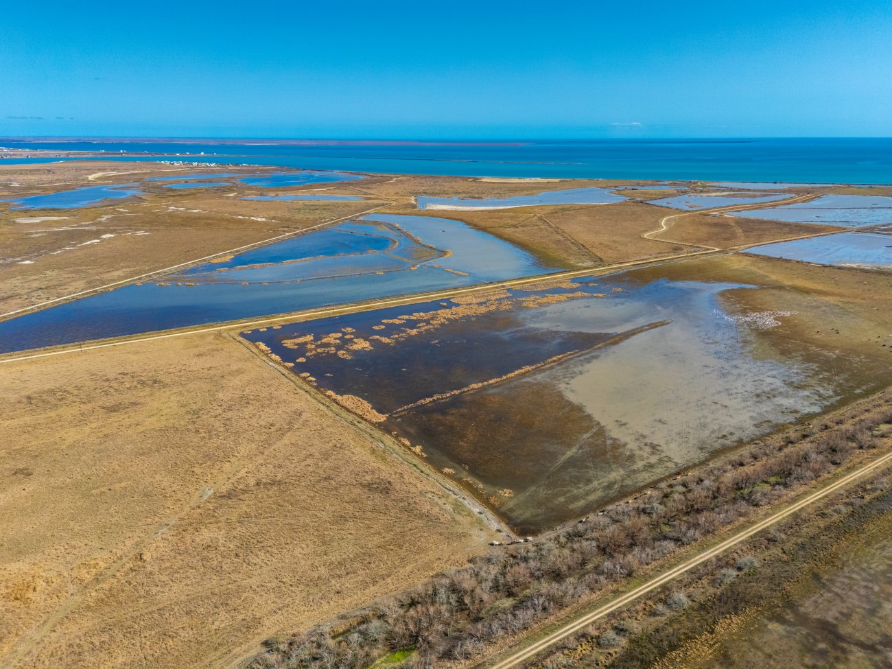 16 more wetlands