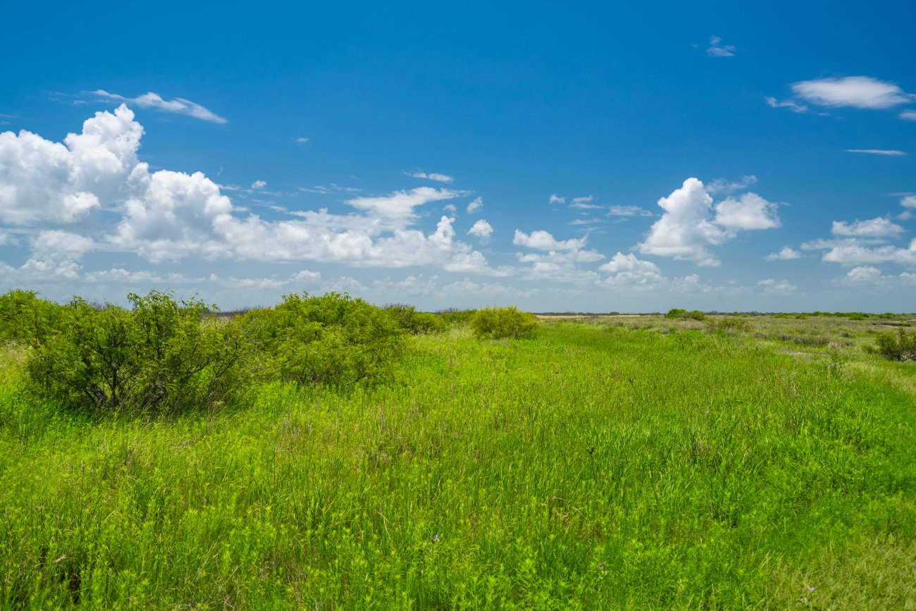 22-quail-country