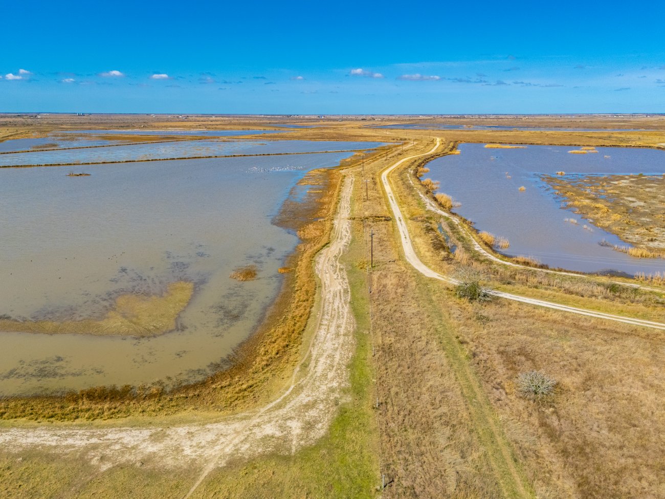 8.2 wetland units