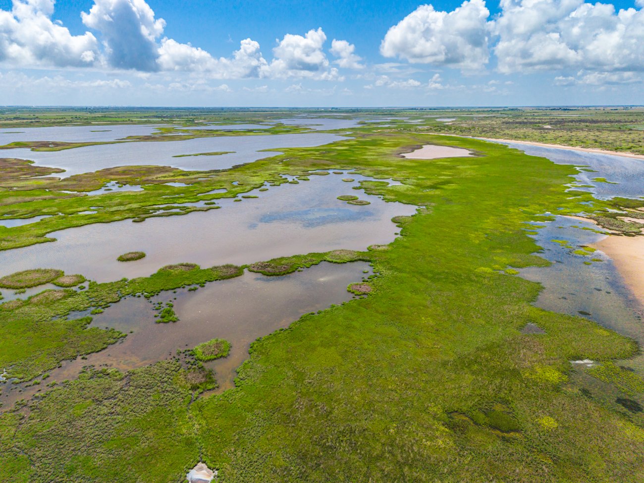 8.5 marsh aerial