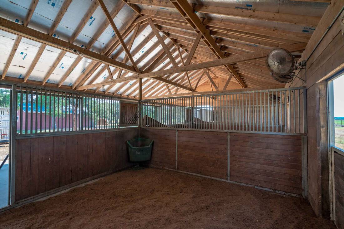 Large stalls in open barn ideal for equine athletes