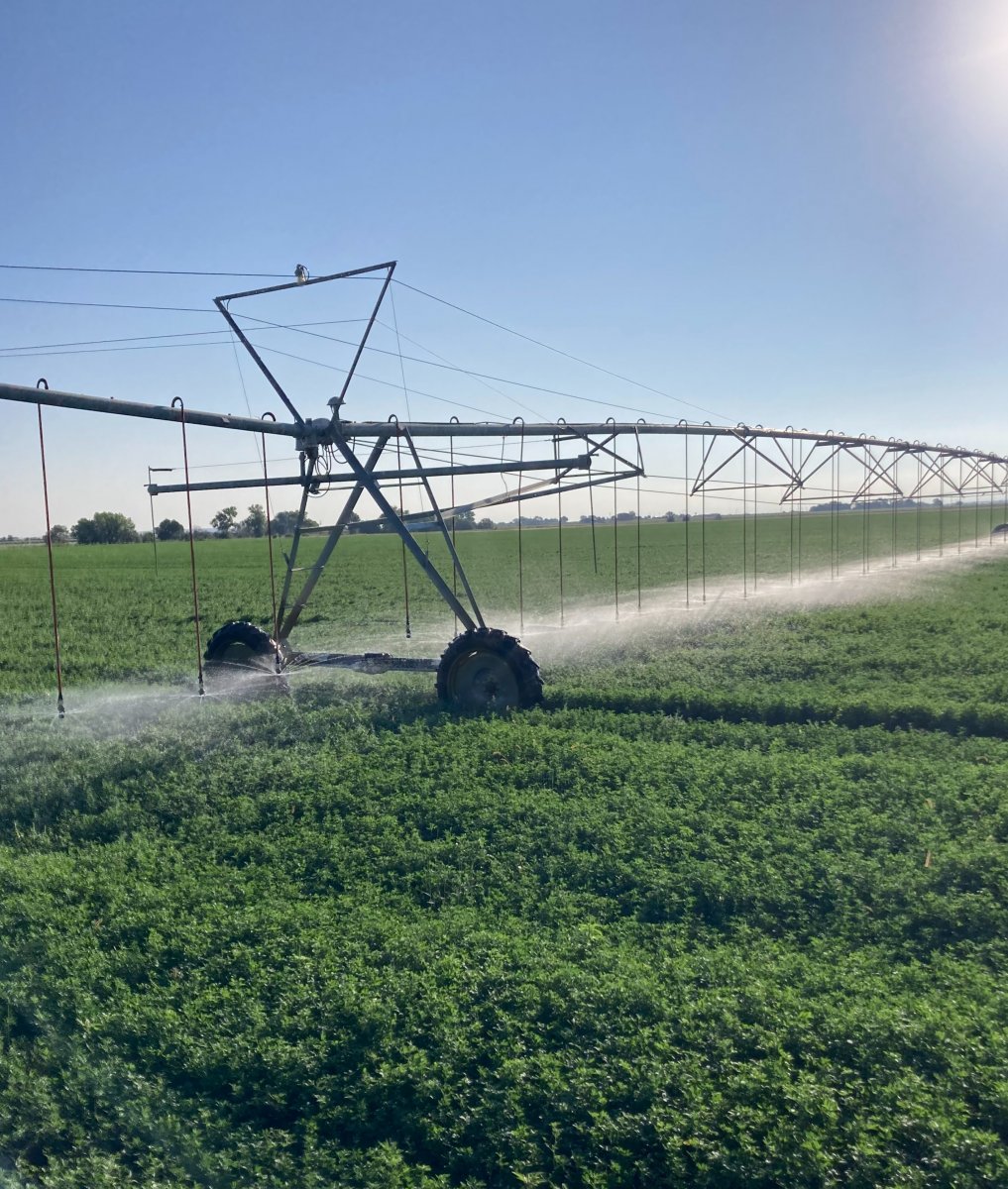 Otero-Canal-Shares-For-Sale-Colorado-Otero-County-Irrigated-Farm Otero-Canal-Shares-For-Sale-Colorado-Otero-County-Irrigated-Farm