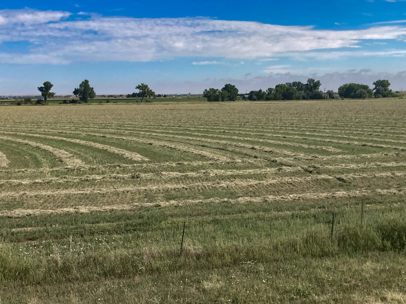 Premier-Water-Rights-For-Sale-Colorado-Otero-County-Irrigated-Farm Premier-Water-Rights-For-Sale-Colorado-Otero-County-Irrigated-Farm